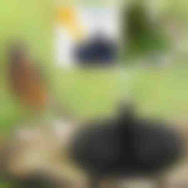 Too oma aed ellu päikesemagilise purskkaevuga | FONTANA