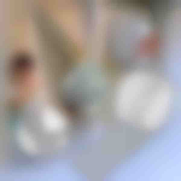 Paranduslint sääsevõrkude jaoks | INSECTAPE