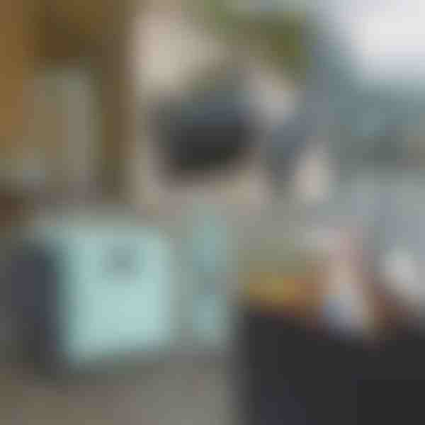 Multifunktsionaalne ostukorv | CARRYMAX