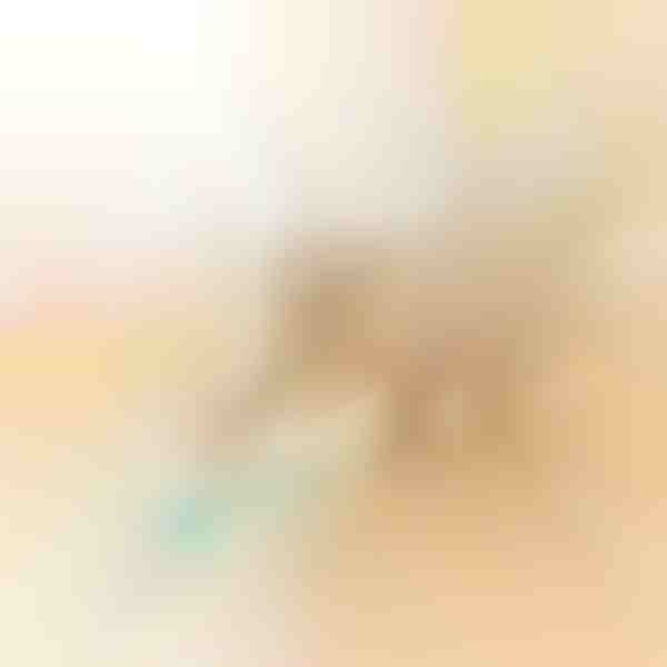 Lemmikloomade automaatne veerev pall | BALLY