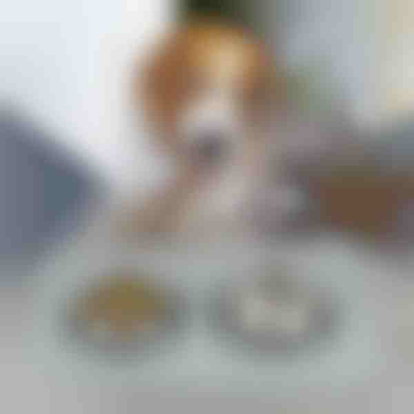 Lemmikloomade söötmise matt | KIBBLEMAT