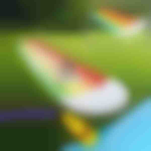 Täispuhutav vesiliug (465x80cm) | REEFLY