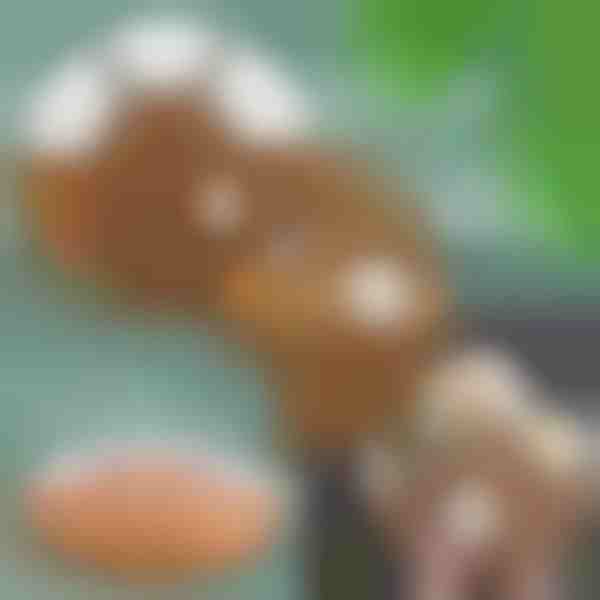 Täielik Suupistete Serveerimisalus | SNACKPLATTER