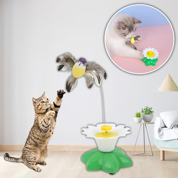 Elektriline lindude mänguasi | BIRDIETOY