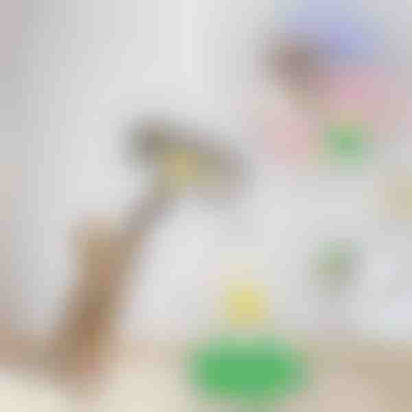 Elektriline lindude mänguasi | BIRDIETOY