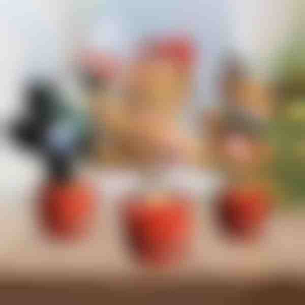 Jõulude interaktiivne tantsuloom | DANCETKO