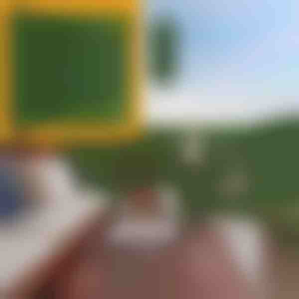 Kunstlike lehtedega privaatsuspaneel | LEAFPANEL