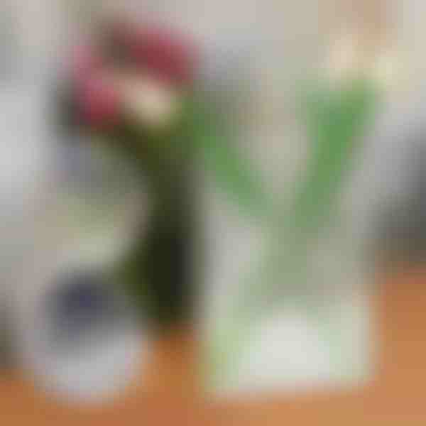 Šikk raamatukujuline vaas lilledele | FLOWERFRAME