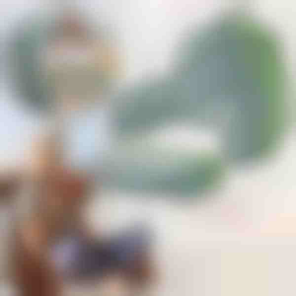 Suur seljapadi | HUGIREST