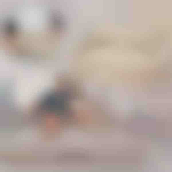 Täispuhutav diivanvoodi | SOFLINKA