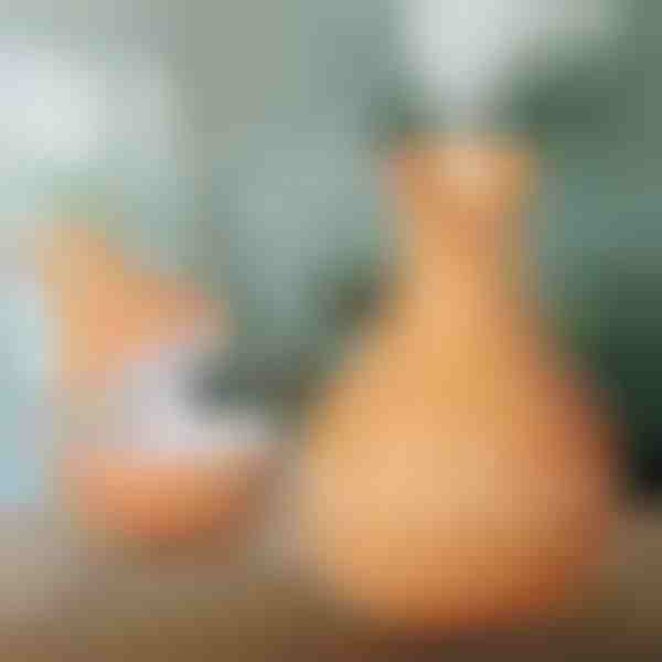 Puidust õhuniisutaja | HUMISTER