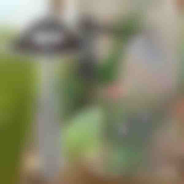 Kergesti umbrohu eemaldamiseks mõeldud aiakõblas | GRASSOE