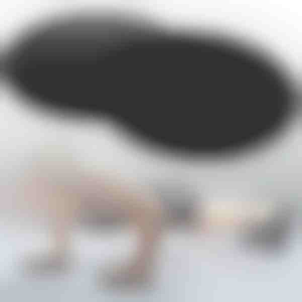 Liugurid (2tk) | COREGLIDE