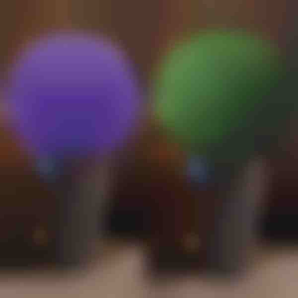 Dekoratiivne taimepall | TOPIORB