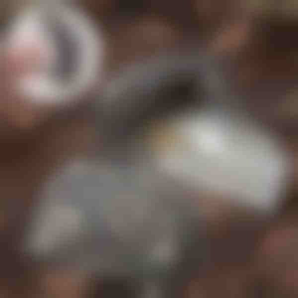 Kivi võtmete peitmiseks | KEYBLEND