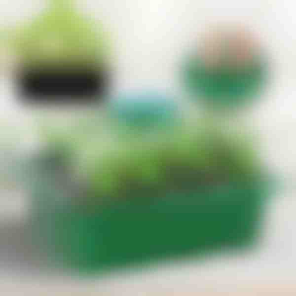 Istikualus sektsioonidega | PLANTURKA