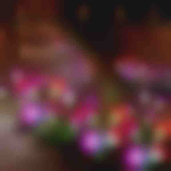 Päikesepatareiga aiavalgustid | BLOSSUN