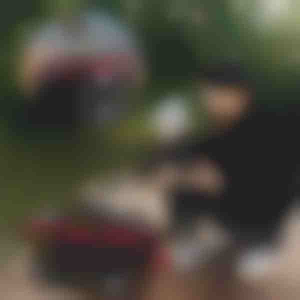 Kokkupandav kalapüügiämber | RIBETINA