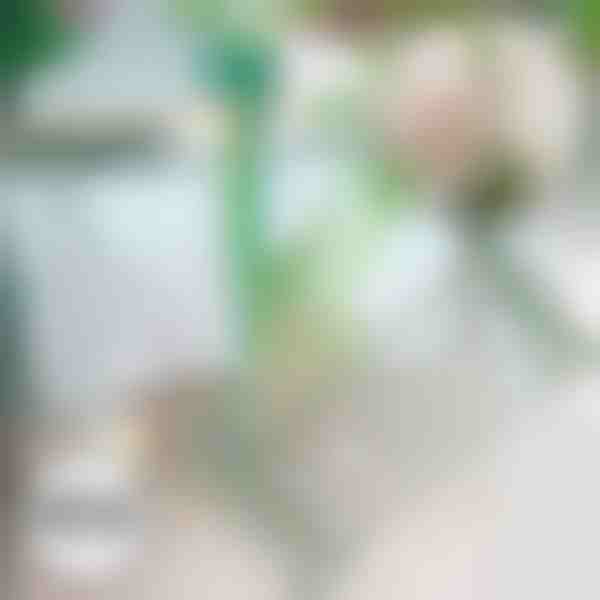 Taimede tugi | ROOTZI