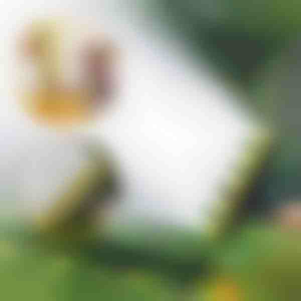 Mitmepealine voolikupihusti | SPRAYMASTER