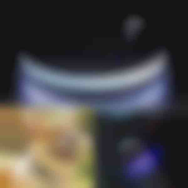 Öösel Helendav Koerarihm i PETSHINE