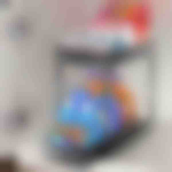 Kaheastmeline väljatõmmatav korraldaja lihtsaks juurdepääsuks | SINKNOVA