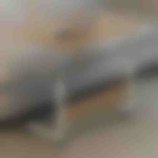 Kaasaskantav laud | EVOSTUL