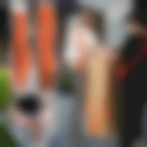 Tõste- ja liikumisrihmad (2 tk) | DUOLIFTERS