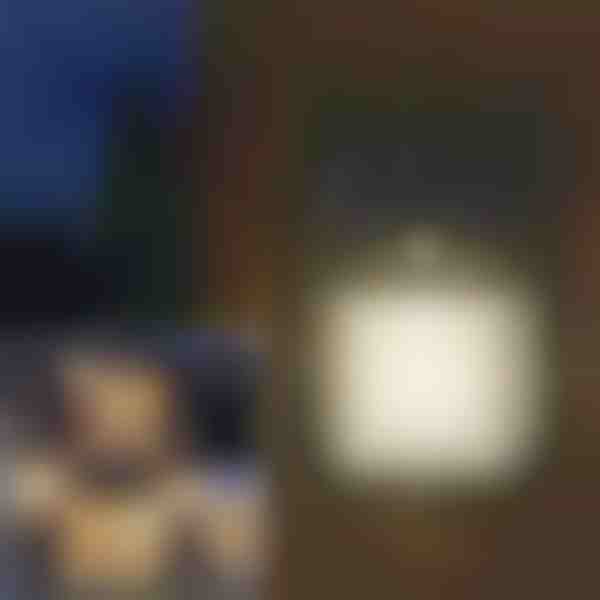 Välitingimustes kasutatav päikesesensoriga liikumisvalgusti | FLUXLAMP