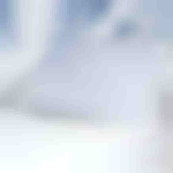 Magnetiline esiklaasi lumekate | FROSTCOVER