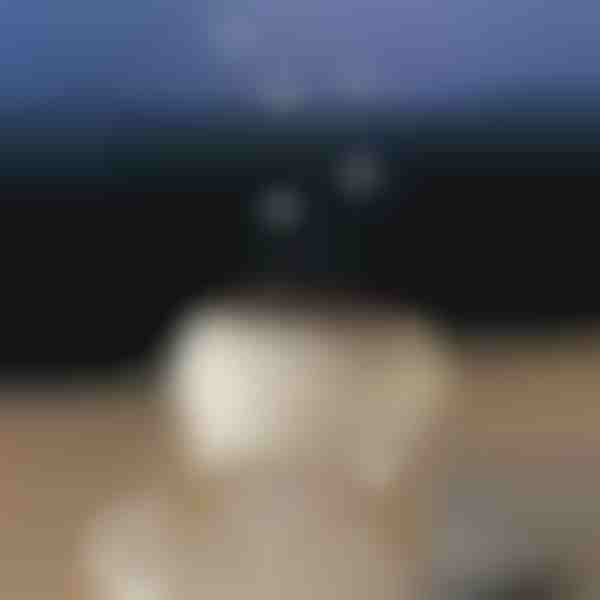 Rahustav aroomihajuti | MEDUSAMIST