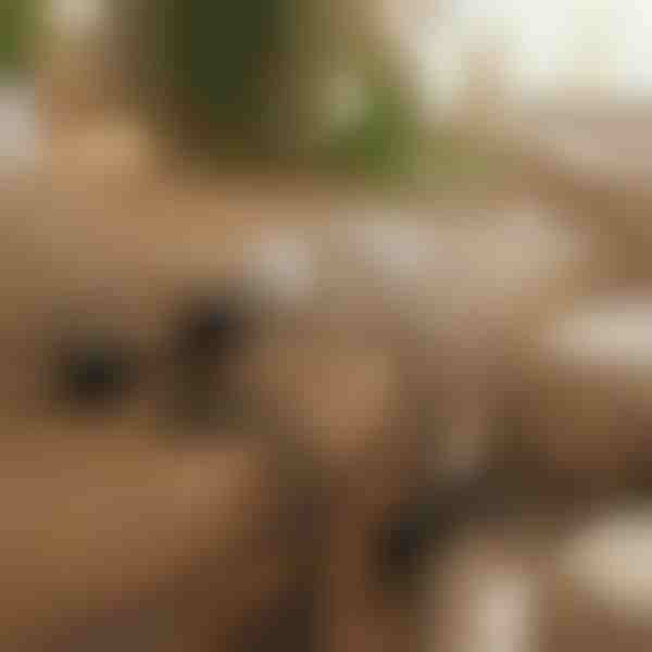 Magnetiline isekleepuv kaablite korraldaja (12 tk) | CABLIP