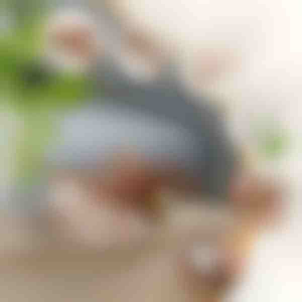 Interaktiivne lehviv lindmänguasi | CHIRRCAT