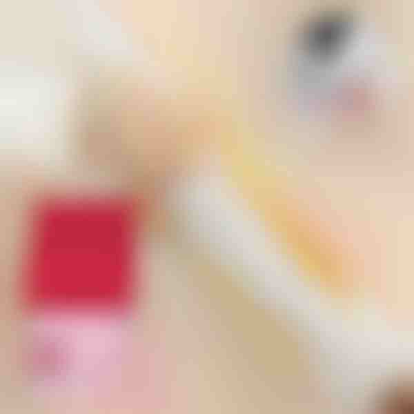 Pika toimeajaga salvrätid (20 tk) | STAINIX