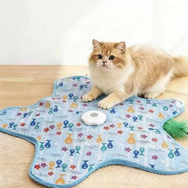 Automaatne jahimänguasi kassidele | MEOWMATIC